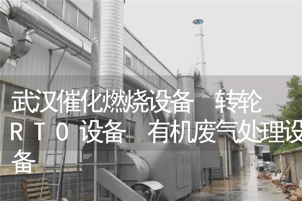 武汉催化燃烧设备 转轮+RTO设备 有机废气处理设备